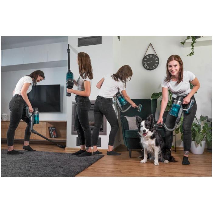 Tyčový vysavač CONCEPT ICONIC ANIMAL SMART FLEX 29,6 V VP6130